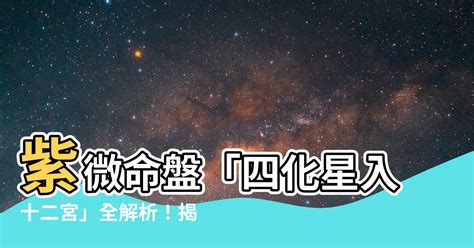 二宮飛星|十二宮位的飛星專論